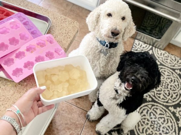 Make Your Own Frozen Dog Treats Using Just One Ingredient!
