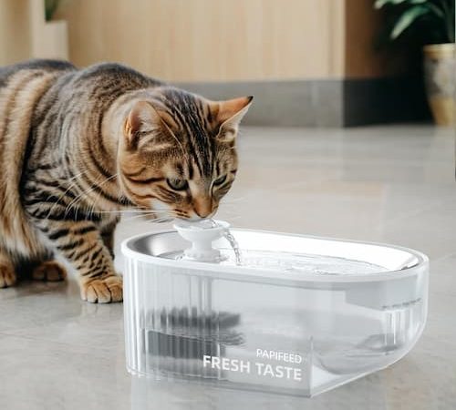 Automatic Cat Water Fountain just $10.13!