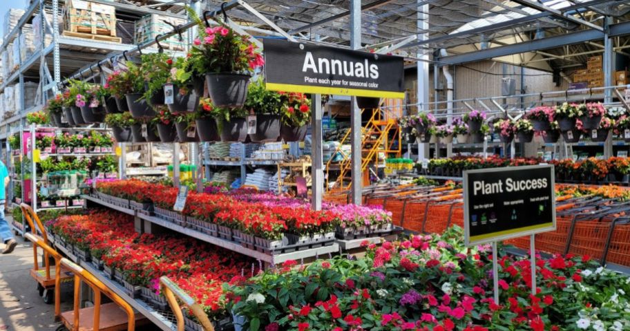 Home Depot Garden Department with lots of flowers and plants