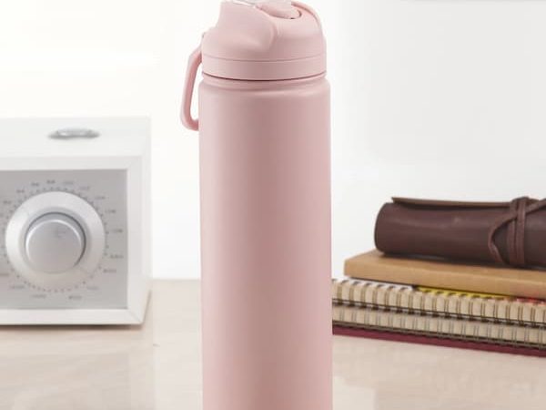 Mainstays 24 fl oz Double Wall Stainless Steel Water Bottle only $4.48, plus more!